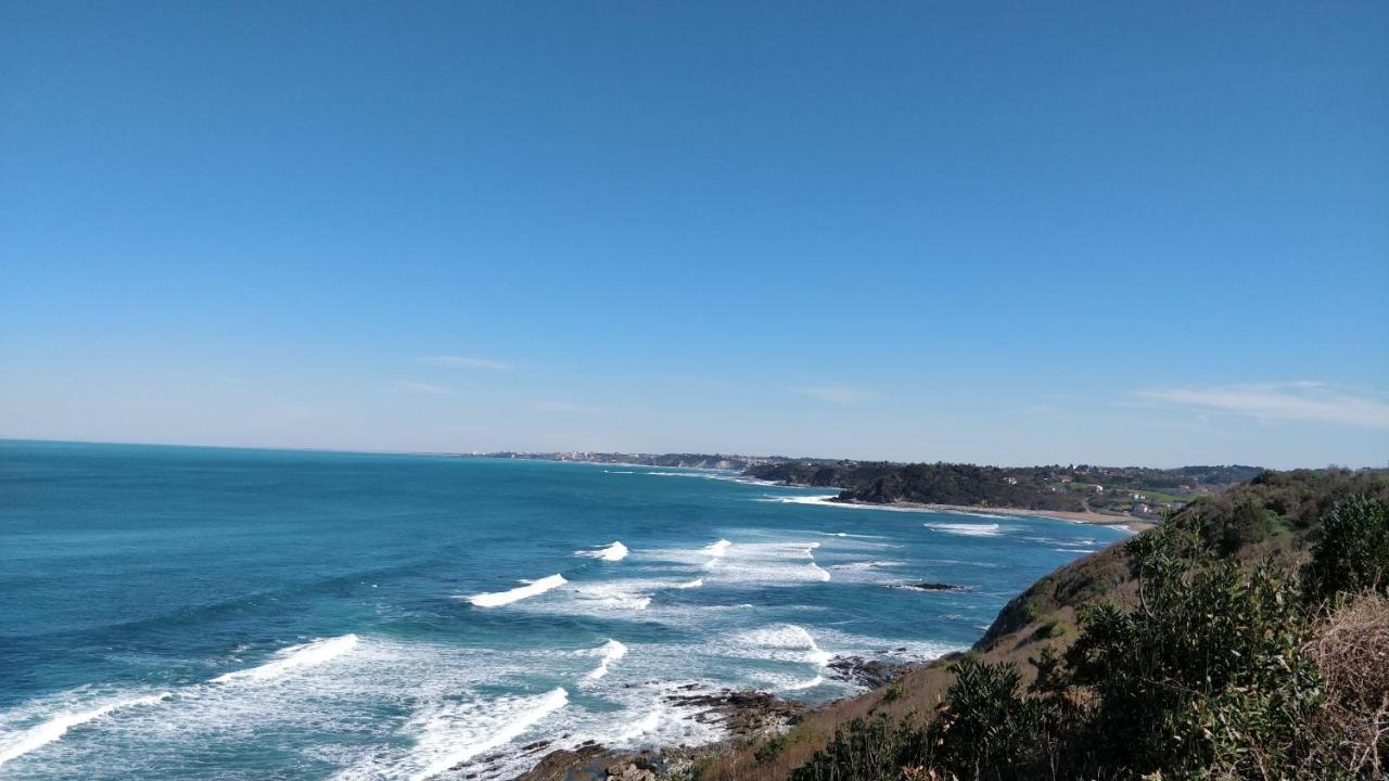 T1 Ou T2 Dans Villa Avec Jardin Proche Biarritz Anglet Exteriér fotografie