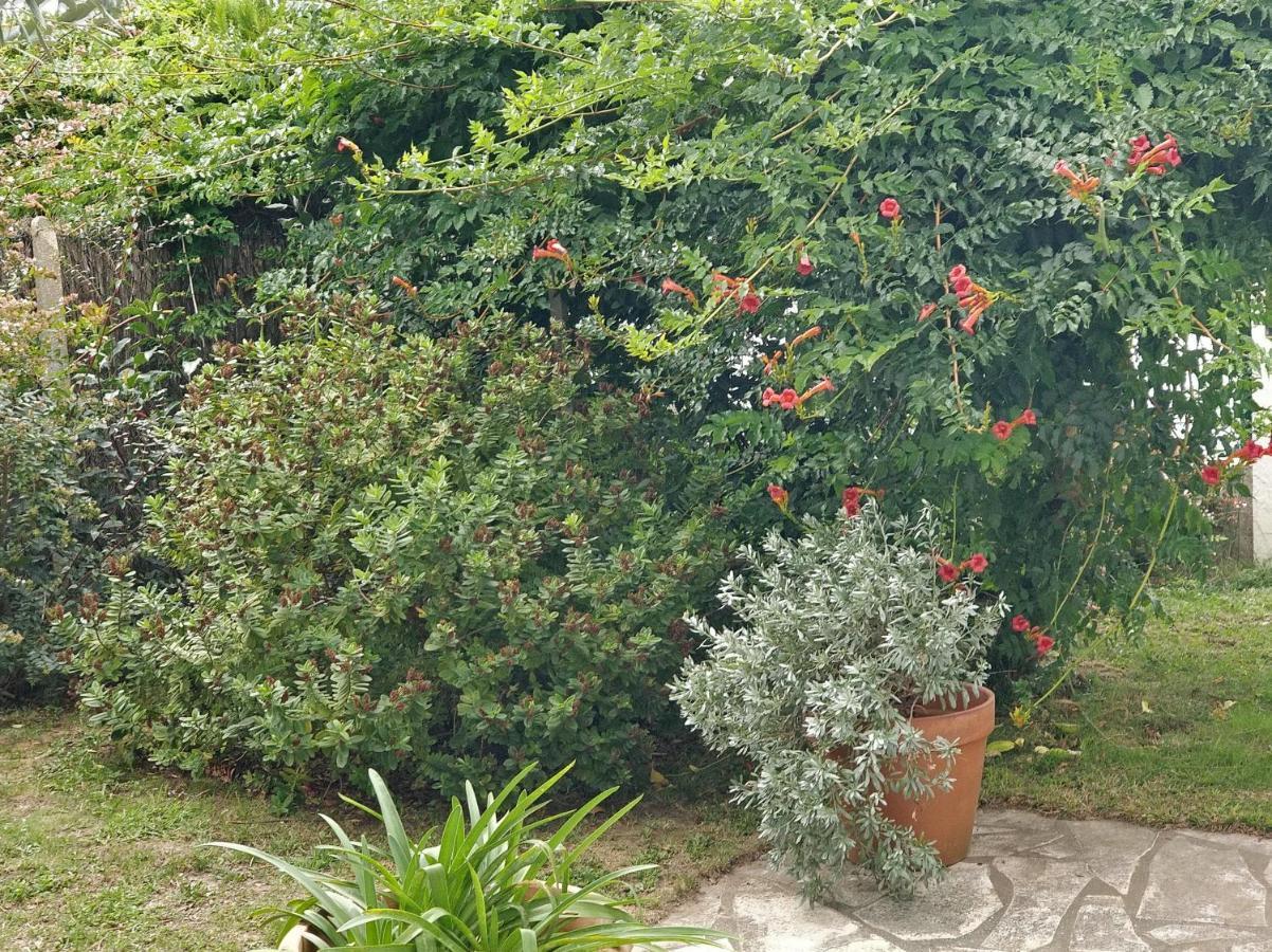T1 Ou T2 Dans Villa Avec Jardin Proche Biarritz Anglet Exteriér fotografie