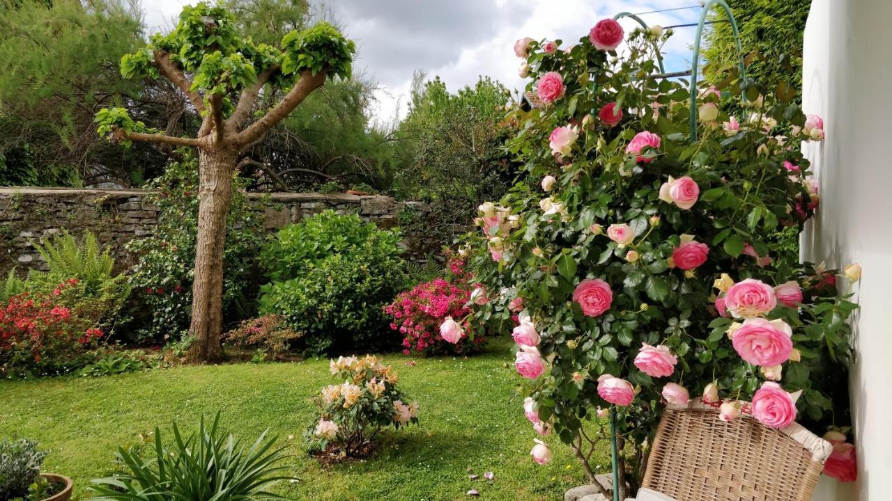 T1 Ou T2 Dans Villa Avec Jardin Proche Biarritz Anglet Exteriér fotografie