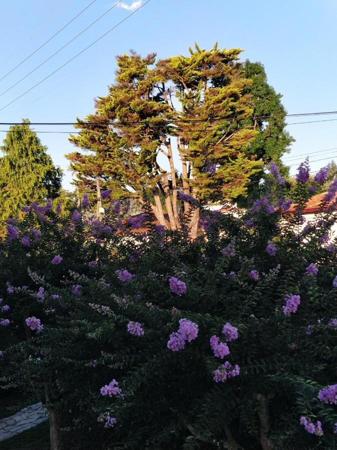 T1 Ou T2 Dans Villa Avec Jardin Proche Biarritz Anglet Exteriér fotografie
