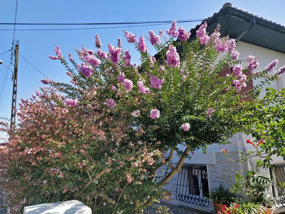 T1 Ou T2 Dans Villa Avec Jardin Proche Biarritz Anglet Exteriér fotografie