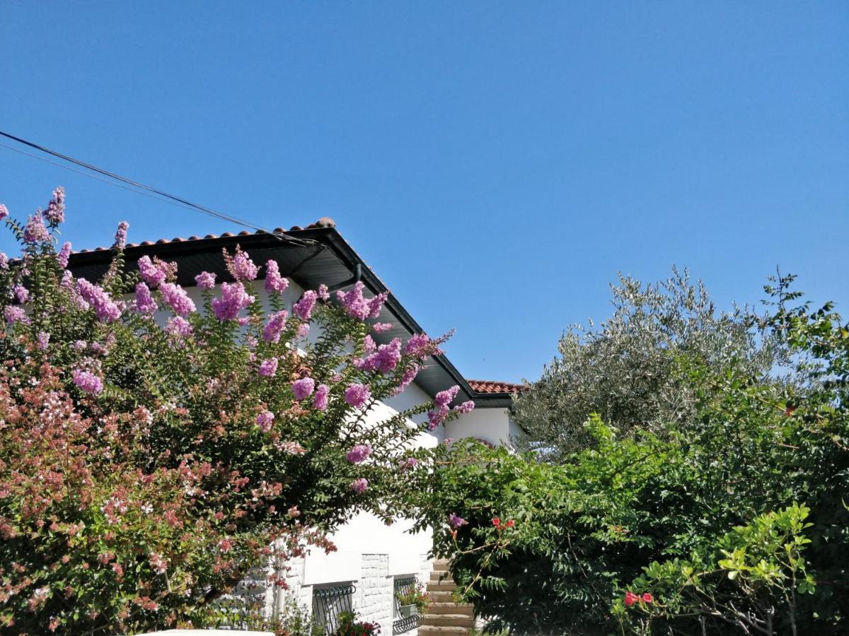 T1 Ou T2 Dans Villa Avec Jardin Proche Biarritz Anglet Exteriér fotografie