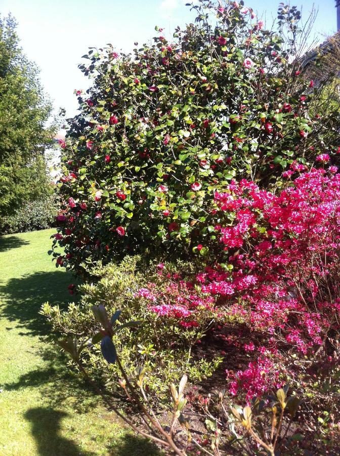 T1 Ou T2 Dans Villa Avec Jardin Proche Biarritz Anglet Exteriér fotografie